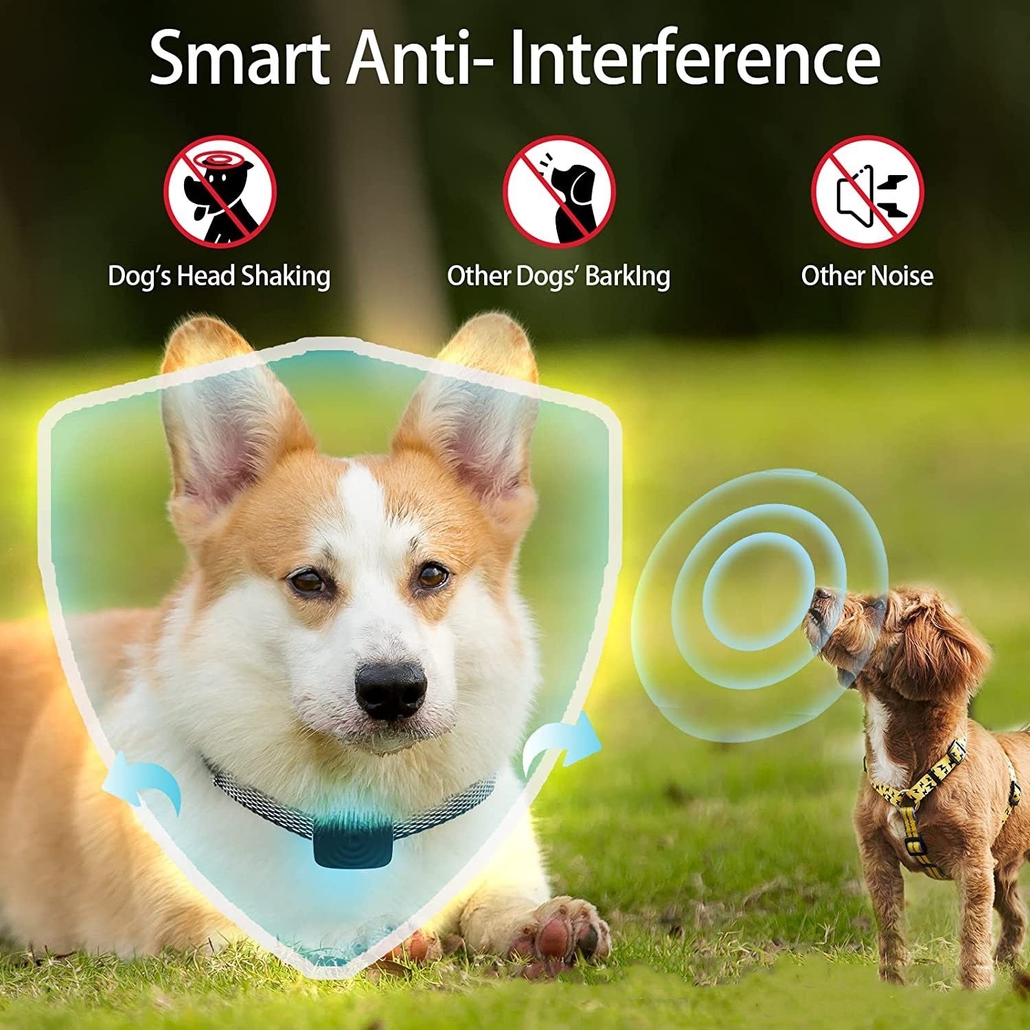 Training Anti Bark Dog Collar Rechargeable Stop Barks