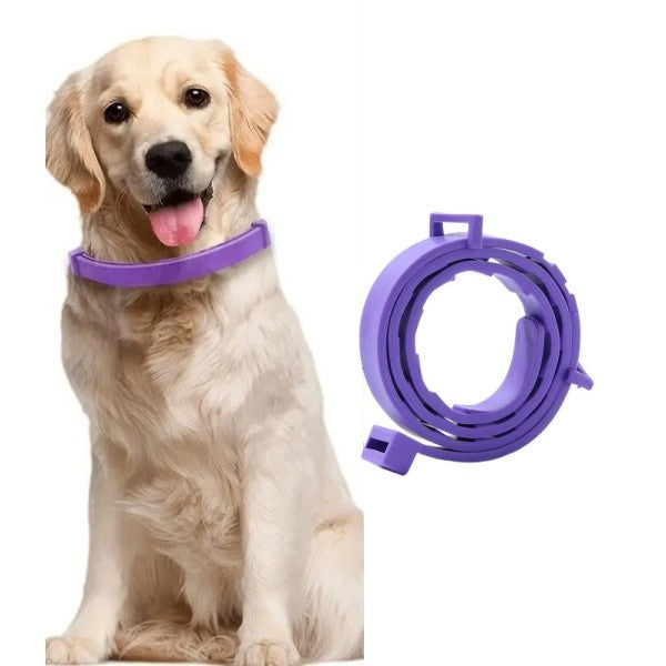 Adjustable Flea Tick Collar for Pets Cats and Dogs Design Natural Ingredients