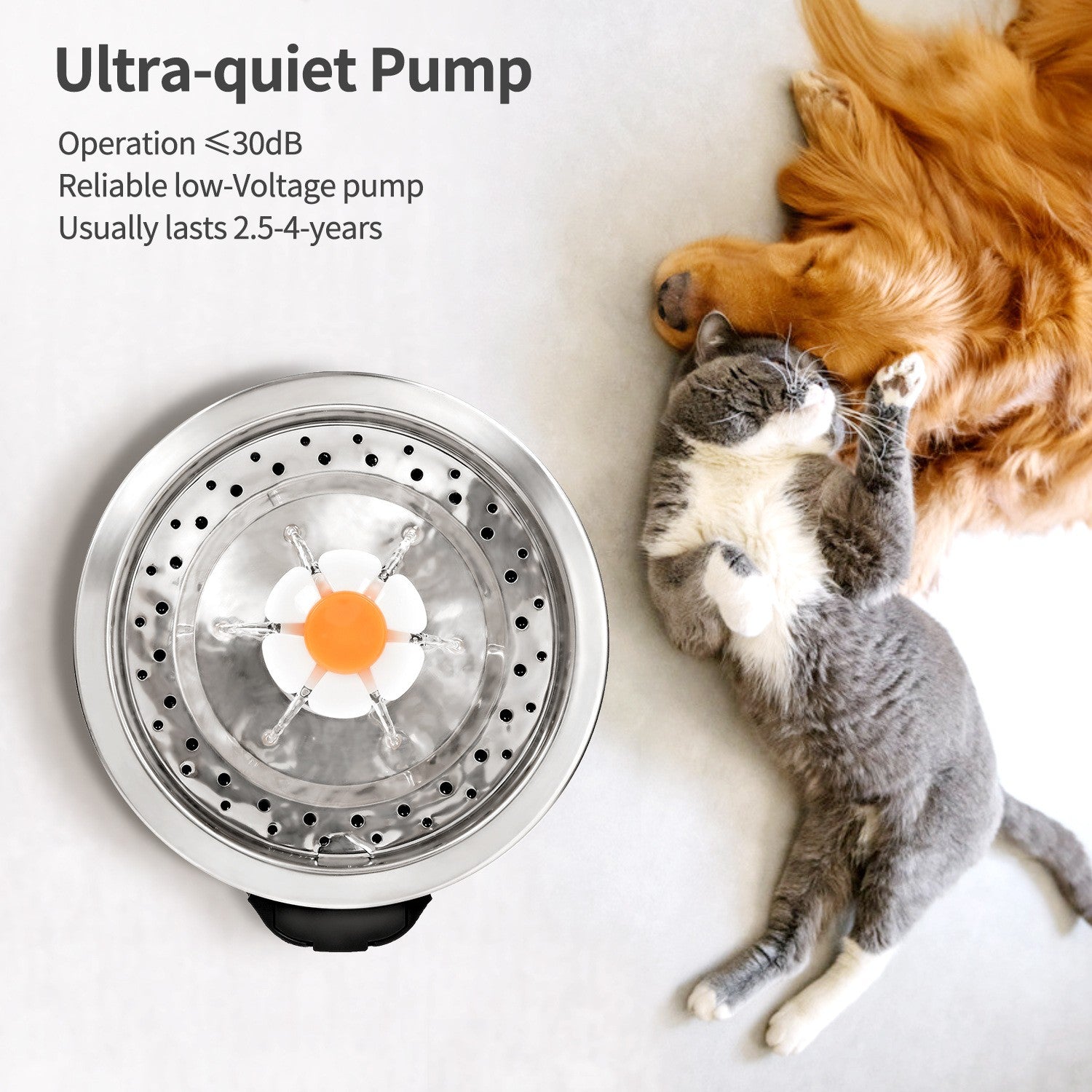 Cat Water Fountain Drinking Stainless Steel 2.5L for Dog