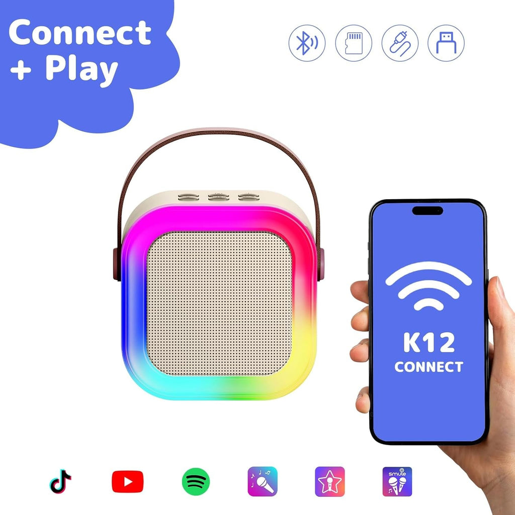 Salelink Karaoke Machine with 2 Microphones Bluetooth Speaker
