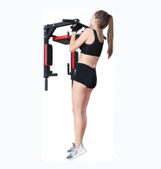 Salelink Pull Up Bar and Dip Station