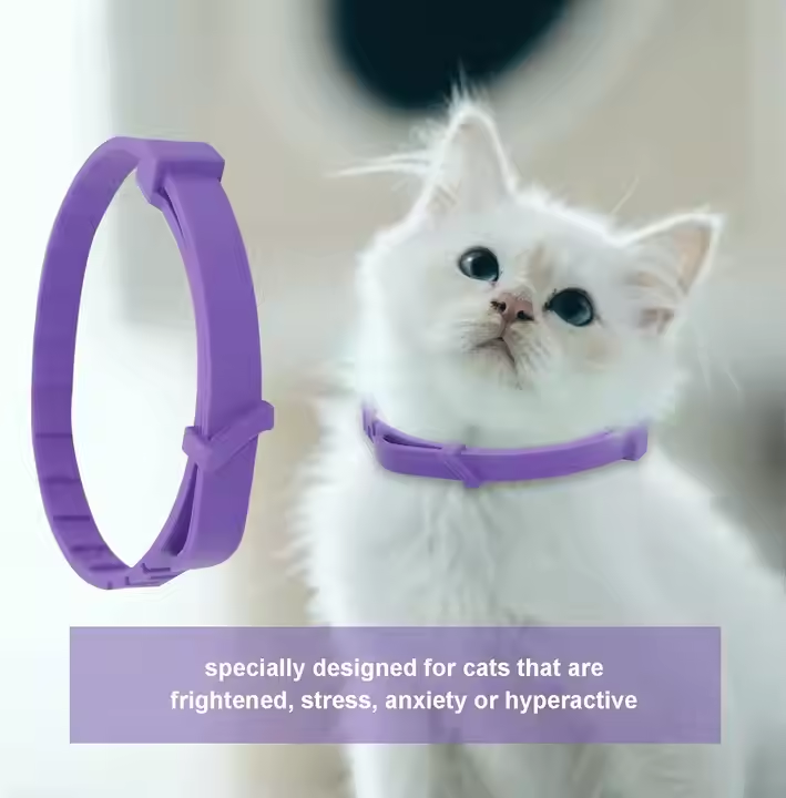 Purple 38cm Adjustable Flea Tick Collar for Cats Design Natural Ingredients