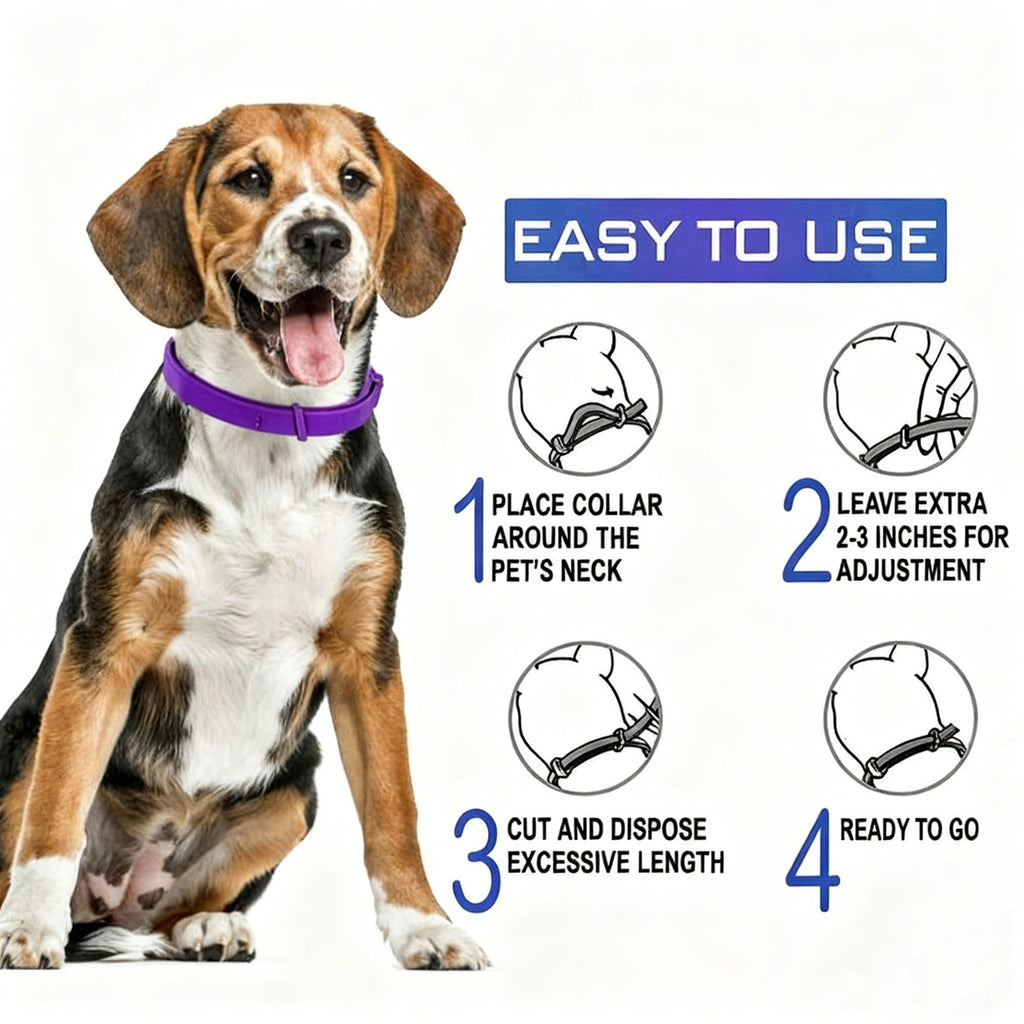 Purple 38cm Adjustable Flea Tick Collar for Cats Design Natural Ingredients