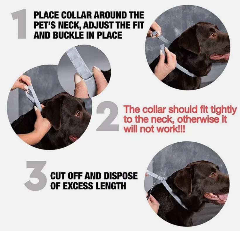 Anti Flea Tick Neck Collar for Dogs Size 63.5cm Protection 8 Months