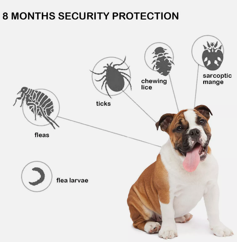 Anti Flea Tick Neck Collar for Dogs Size 63.5cm Protection 8 Months