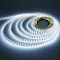 2835 24V 5M LED Strip Light Cool White 120LED/M 600LEDs SMD