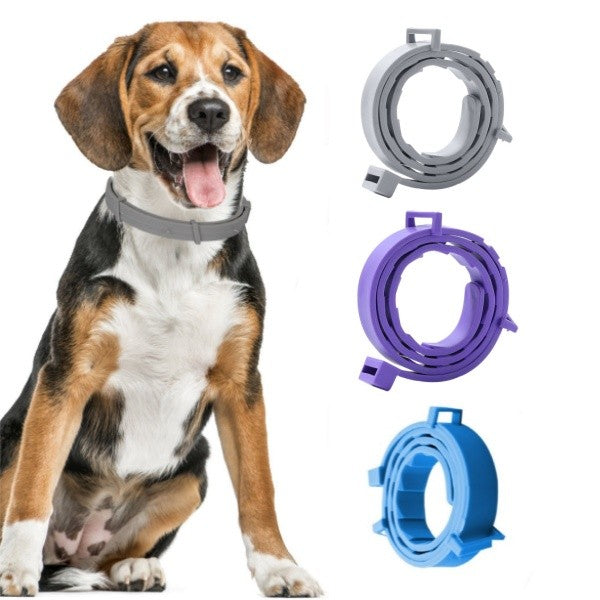 Adjustable Flea Tick Collar for Pets Cats and Dogs Design Natural Ingredients