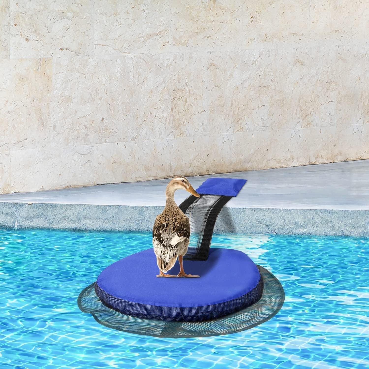 Swimming Pool Frog Saver Accessories Floating Animal Saver Rescue Tool