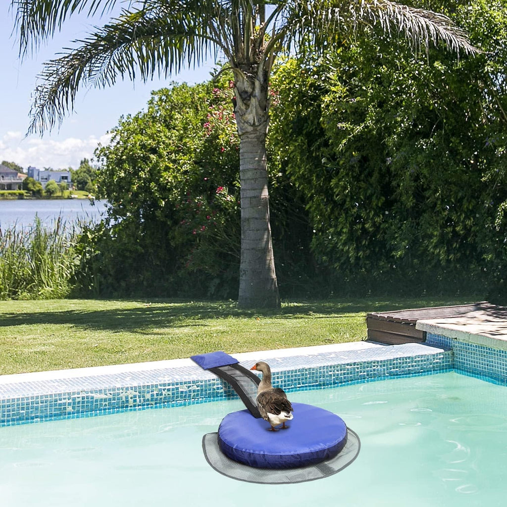 Swimming Pool Frog Saver Accessories Floating Animal Saver Rescue Tool