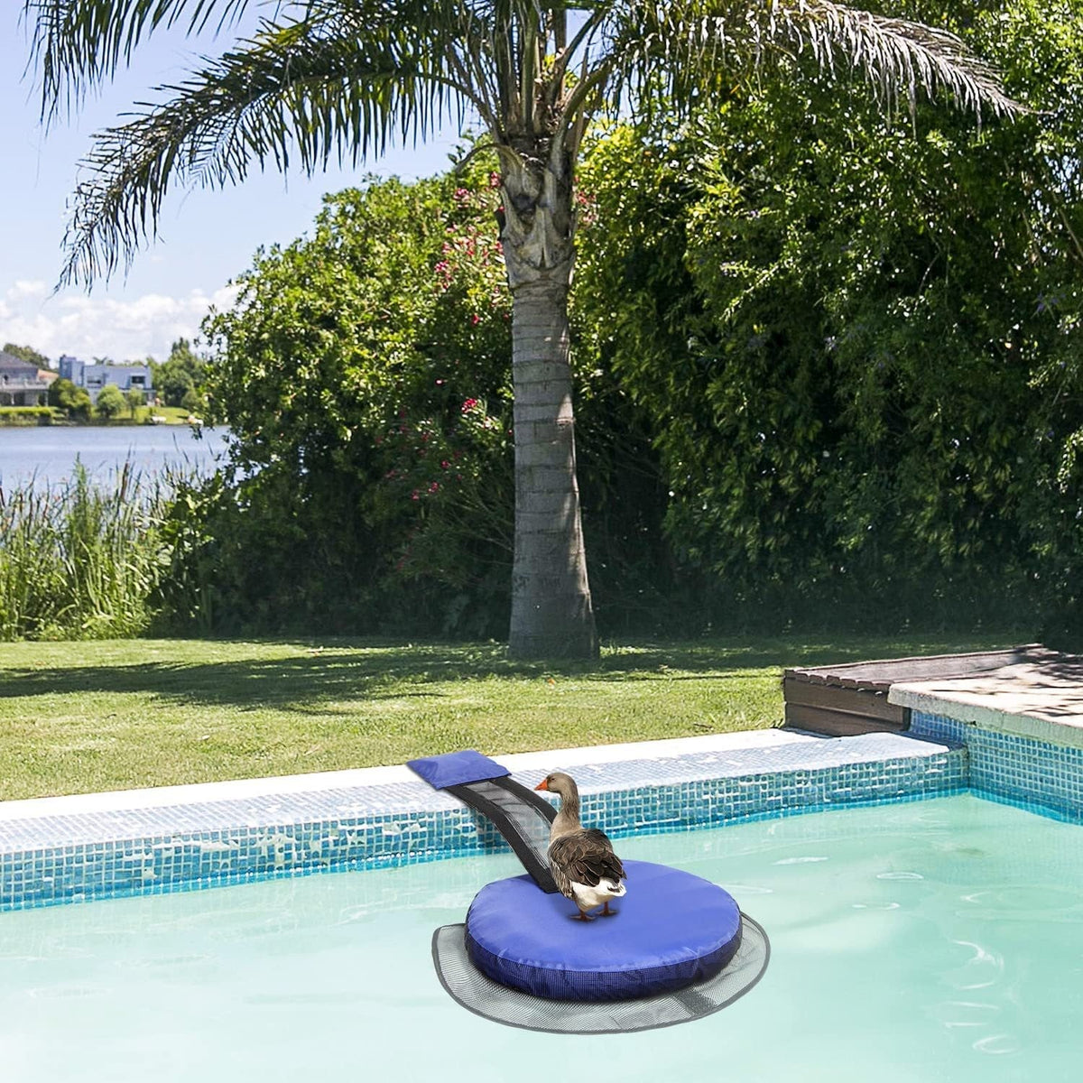 Swimming Pool Frog Saver Accessories Floating Animal Saver Rescue Tool