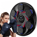 Electronic Music Boxing Wall Target Smart Combat Training Machine Bluetooth NEW