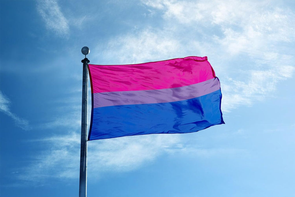 Large LGBT Pride Flag Rainbow Flag Bisexual LGBTQ Flag 90x150 cm Heavy Duty