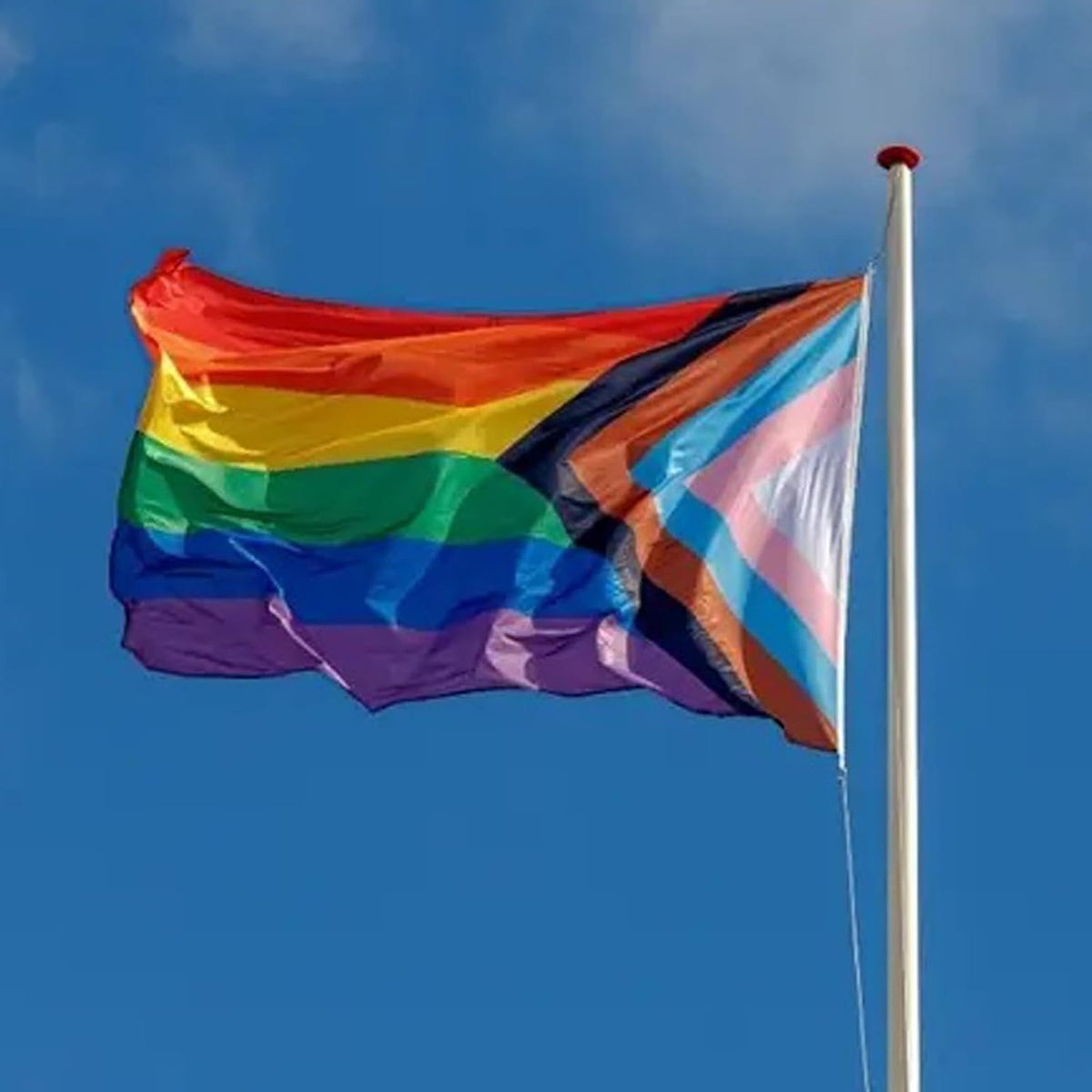 Large Progress Pride Flag Rainbow Black and Brown LGBTQ Flag Heavy Duty 90x150cm