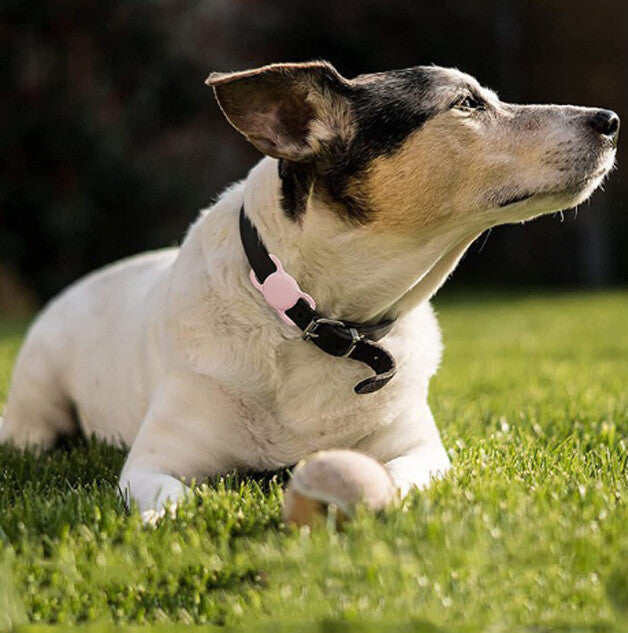 Pet Airtag Dog Cat Collar Holder Silicone for Apple Air Tag Protective Case